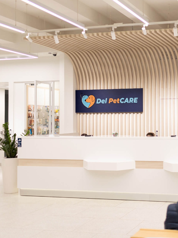 Del PetCARE reception area in Los Angeles